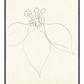 Floral Sketch with black frame