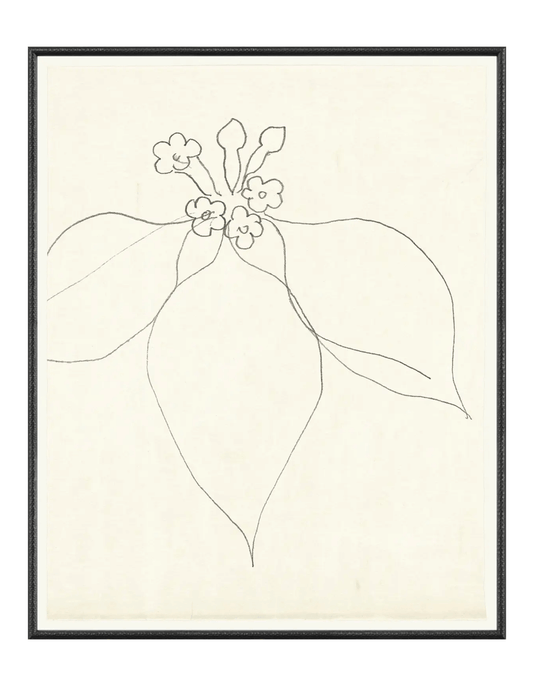 Floral Sketch with black frame