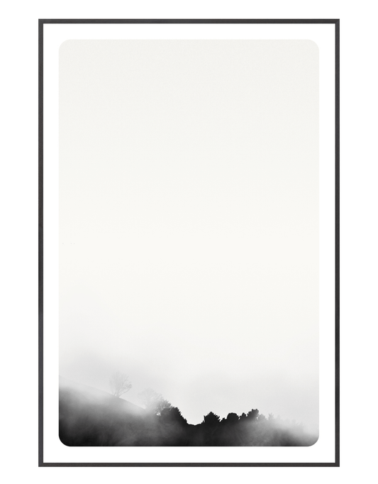 Genesis V - The Décor Shoppe Wall Art Canada Black and white foggy day 