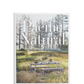 Pacific Natural Simple Seasonal Entertaining