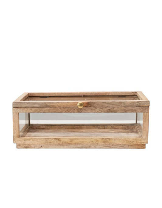 Mango Display Box