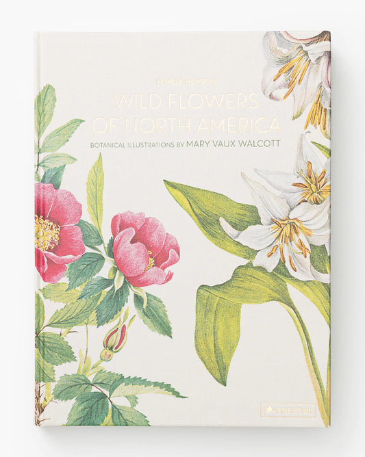 Wild Flowers of North America